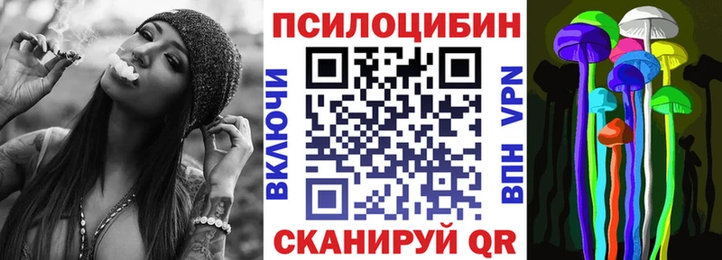 где можно купить Михайловск Псилоцибиновые грибы Psilocybe