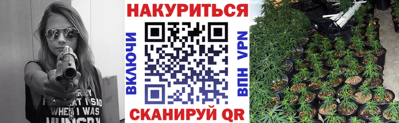 Шишки марихуана конопля  Михайловск 